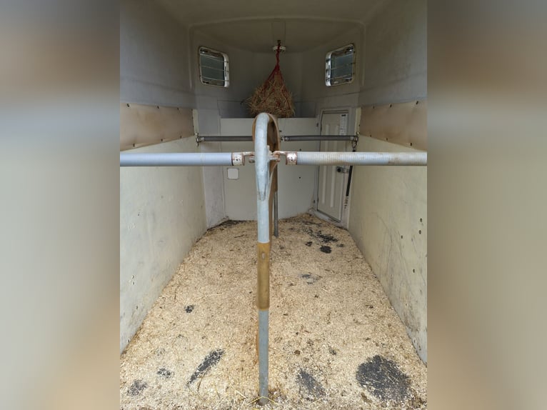 Böckmann Genius CS2 Horse Trailer / Fully Polyethylene / Tack Room