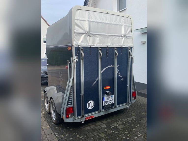 Böckmann horse trailer made of full-polymer with an aluminum floor