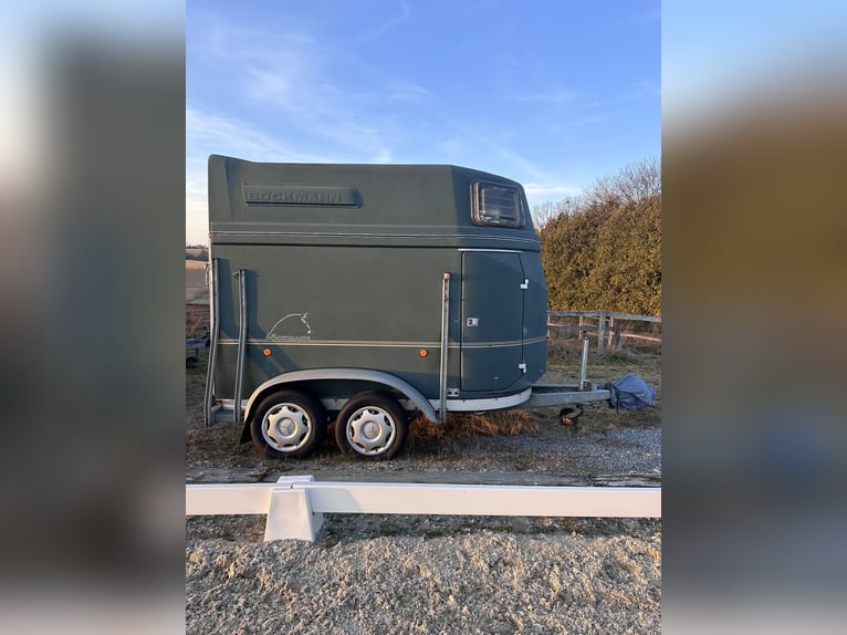 Böckmann Master horse trailer; new camera, lighting, and tires!