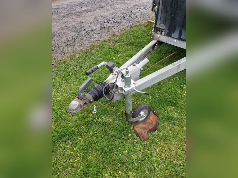 Horse trailer by Sluis
