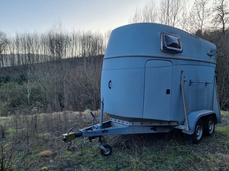 Horse Trailer Stema Derby 2