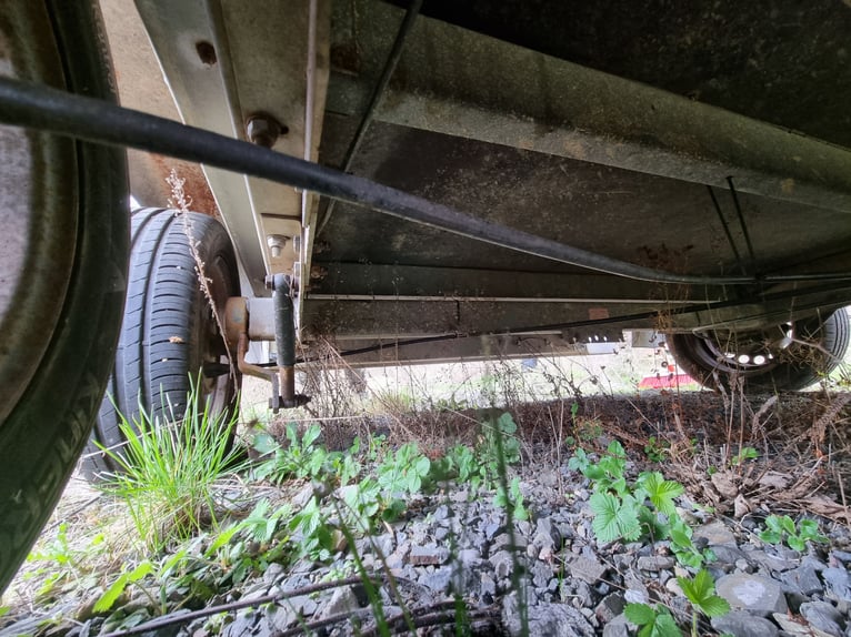 Horse Trailer Stema Derby 2