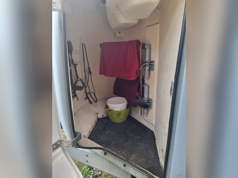 Horse Trailer Stema Derby 2