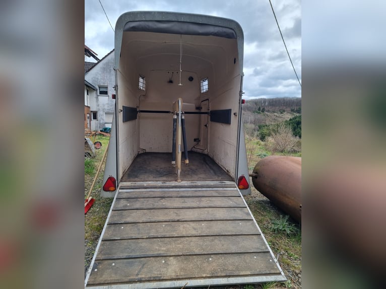 Horse Trailer Stema Derby 2