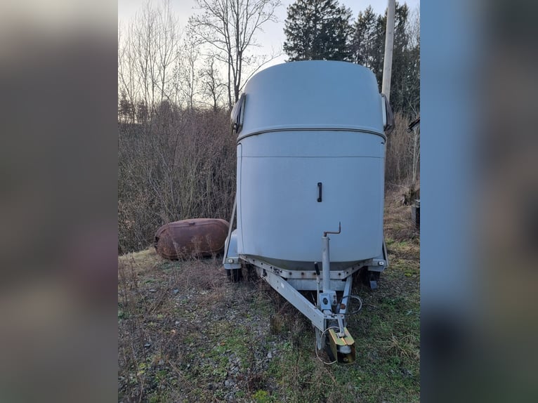 Horse Trailer Stema Derby 2