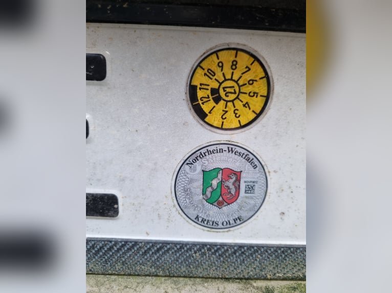 Horse Trailer Stema Derby 2