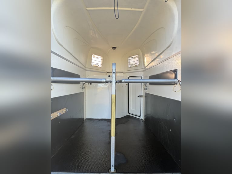 Humbaur Atis horse trailer, fully polycarbonate sides with aluminum floor