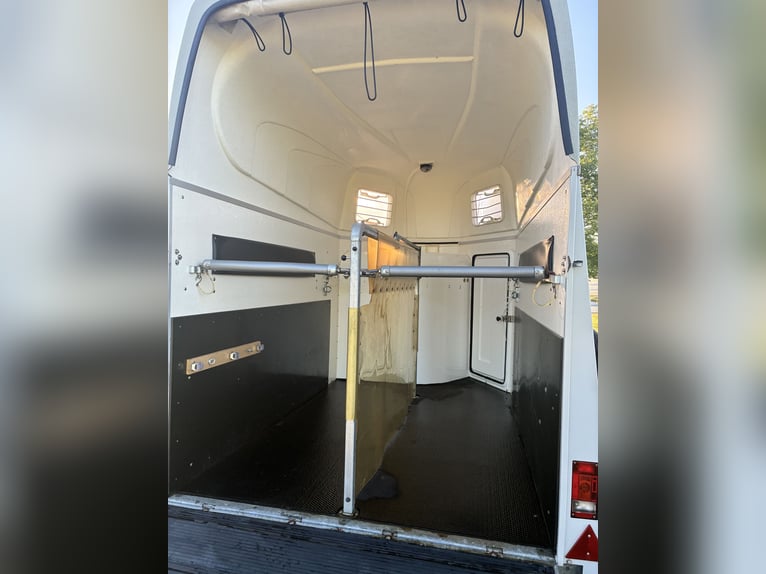 Humbaur Atis horse trailer, fully polycarbonate sides with aluminum floor