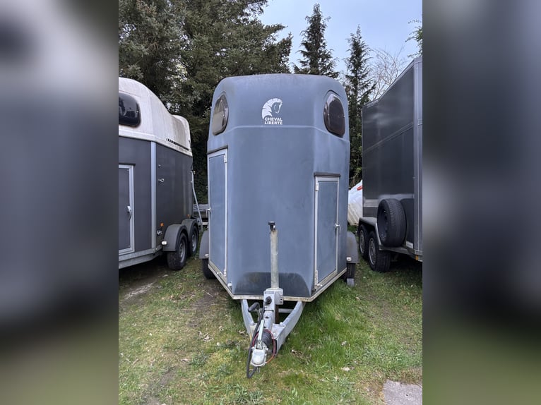 Liverte Gold horse with SK and Pullmann suspension system