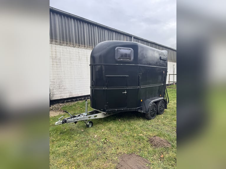 Marquardt M2 De Luxe 2-Horse Trailer