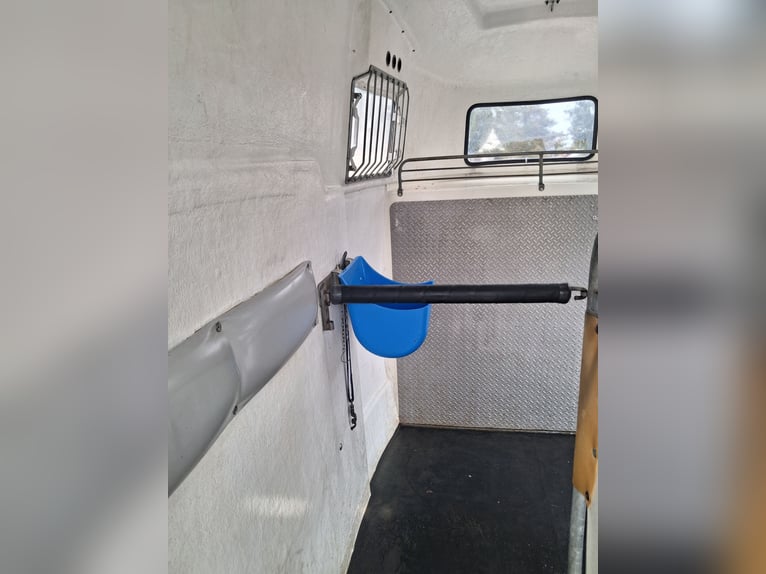 Mustang Camplet Sports Horse Trailer, TÜV valid until April 2028