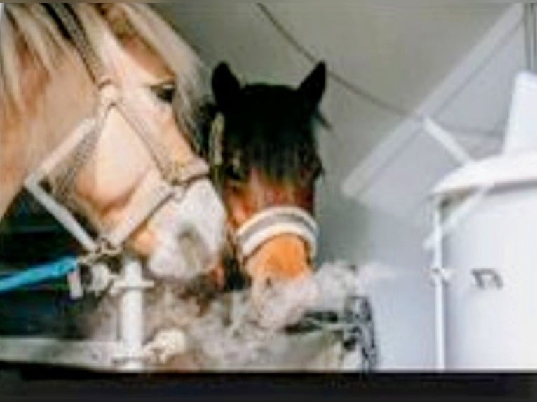 Oxygen Company Inhalation Attachment