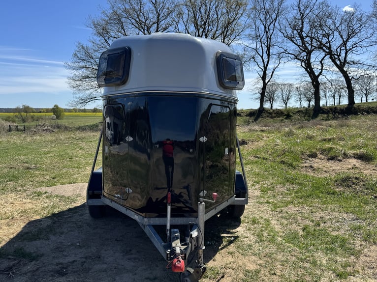Pair of horse trailers in excellent condition for sale