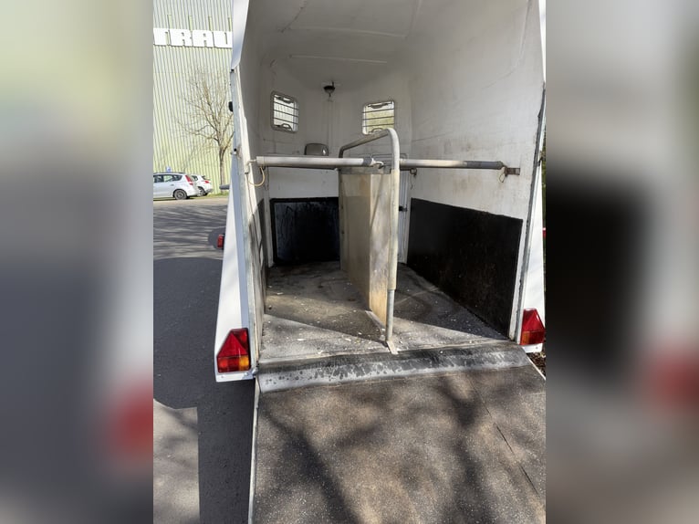 Thiel Domino horse trailer