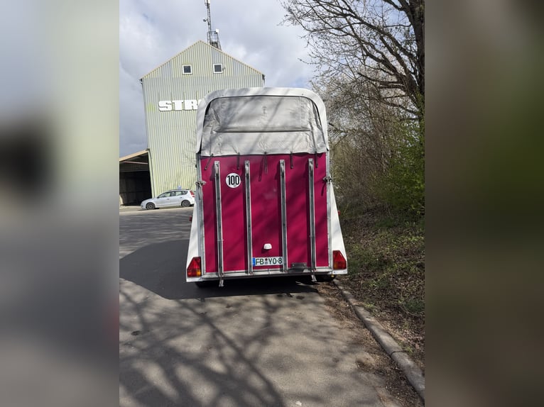 Thiel Domino horse trailer