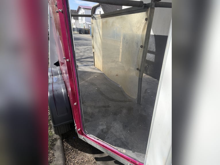 Thiel Domino horse trailer