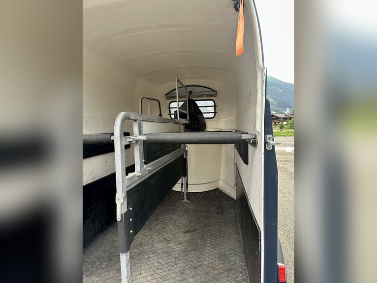 Top Westfalia Jupiter 2-horse trailer – fully refurbished, NEW floor & inspection valid until 04/27!