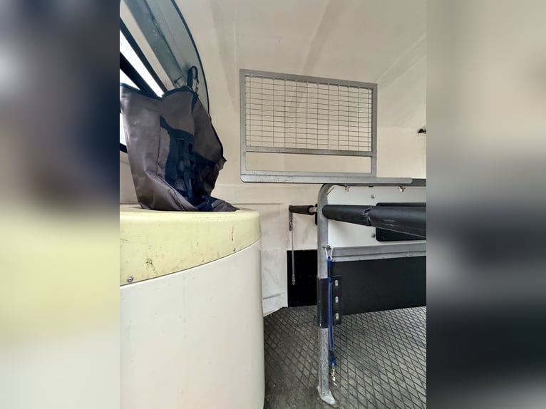 Top Westfalia Jupiter 2-horse trailer – fully refurbished, NEW floor & inspection valid until 04/27!