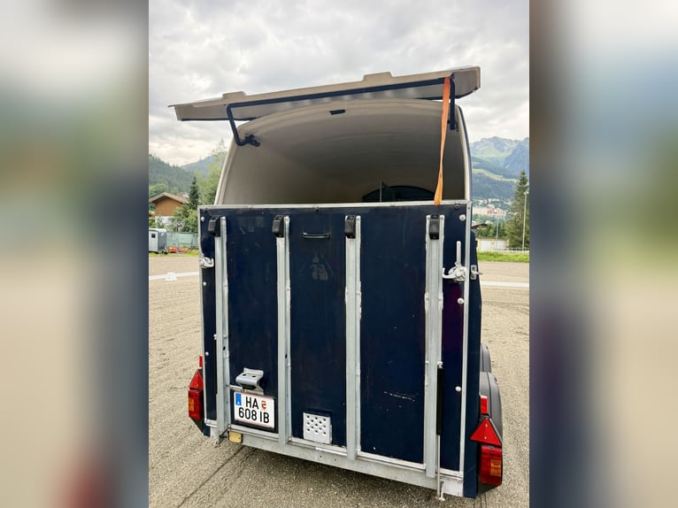 Top Westfalia Jupiter 2-horse trailer – fully refurbished, NEW floor & inspection valid until 04/27!