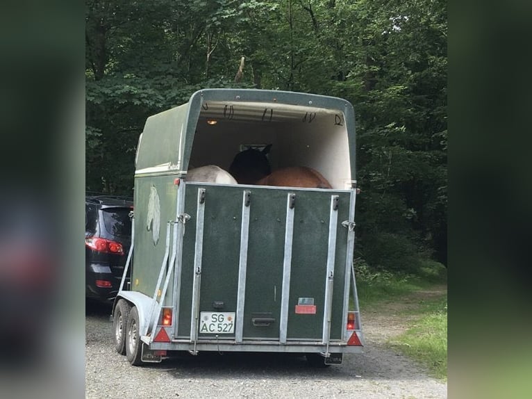 Two-horse horse trailer