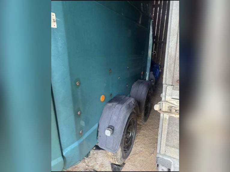 Westphalian horse trailer