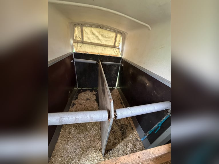 Bloomert T2 Horse Trailer – 2-Horse