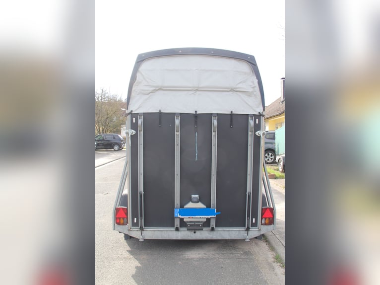Böckmann 2-Horse Trailer