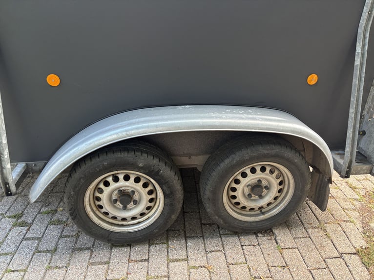 Böckmann Champion Duo Horse Trailer