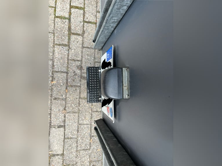 Böckmann Champion Duo Horse Trailer