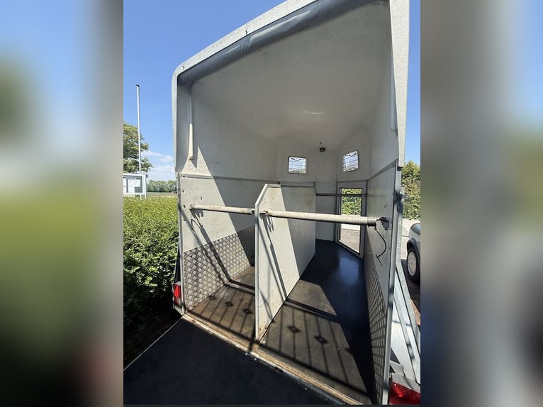 Böckmann Duo Esprit horse trailer