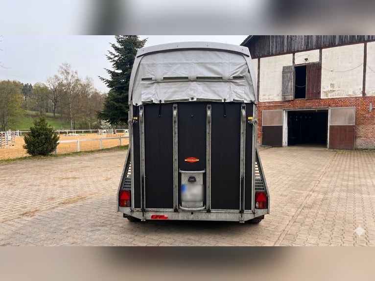 Böckmann Duo R Horse Trailer | Year of Manufacture 2017 | Aluminum Floor | with Tack Room