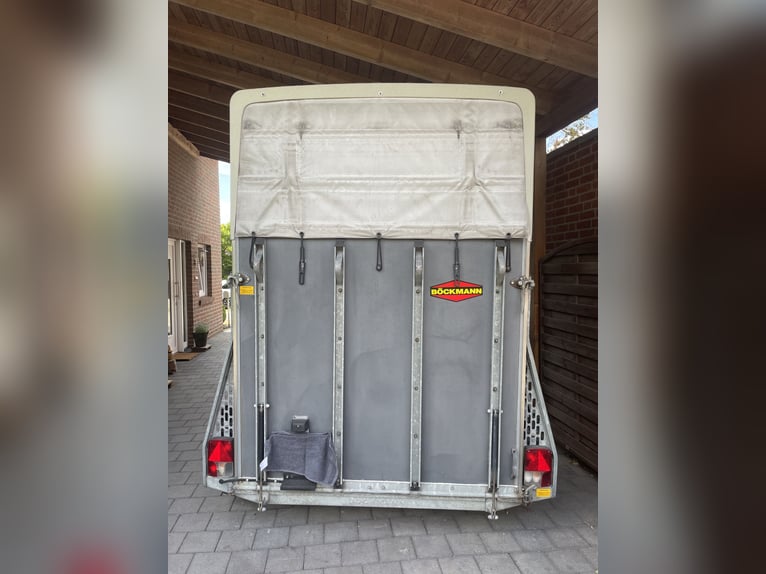Böckmann Duo wood/polymer trailer has always been stored indoors.
