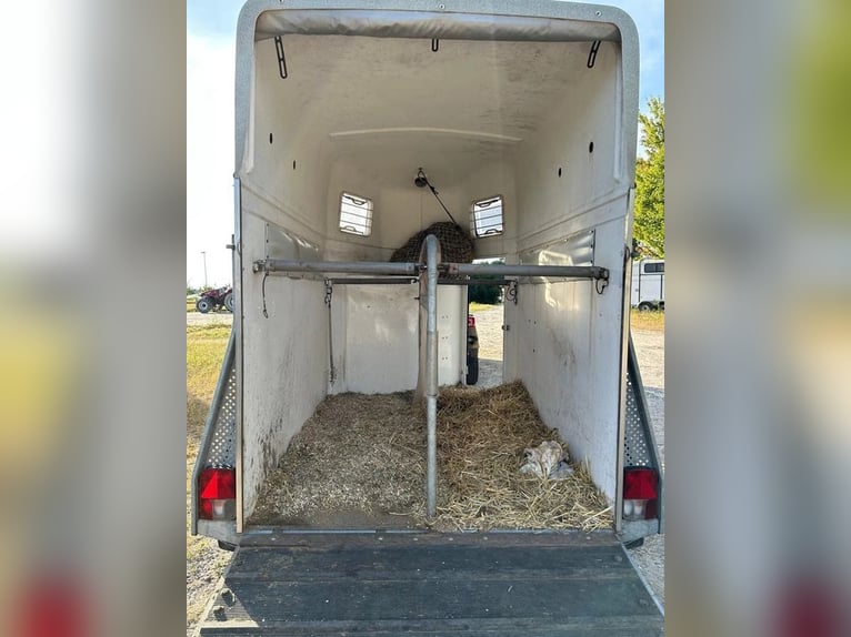 Böckmann horse trailer
