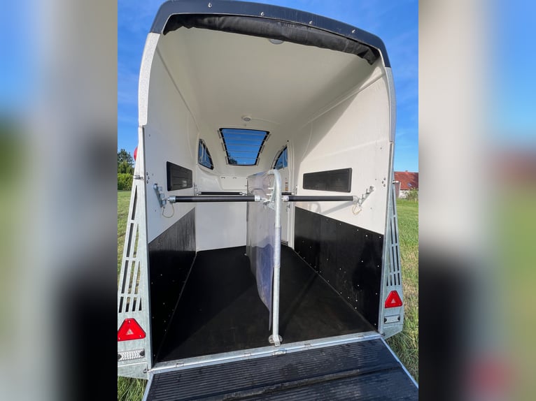 Careliner M horse trailer for sale