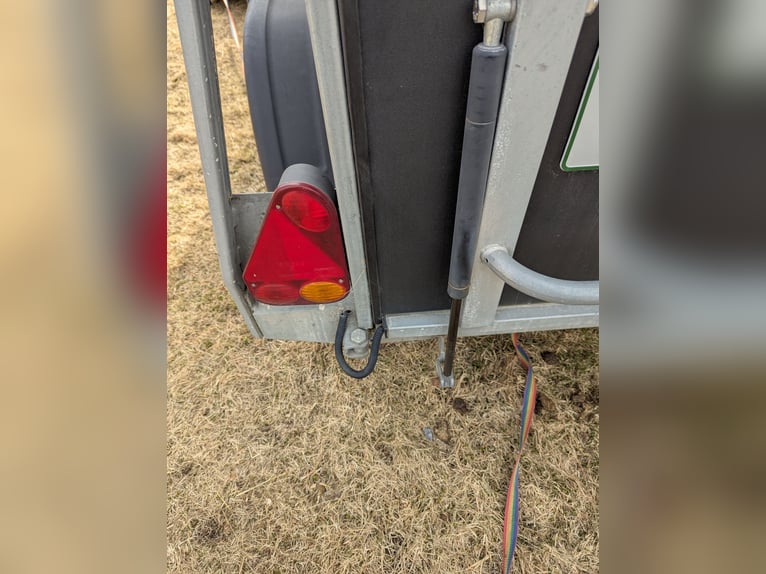 Cheval Liberte front exit horse trailer