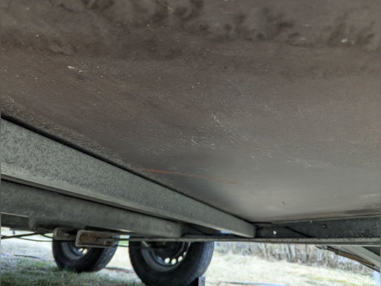 Cheval Liberte front exit horse trailer