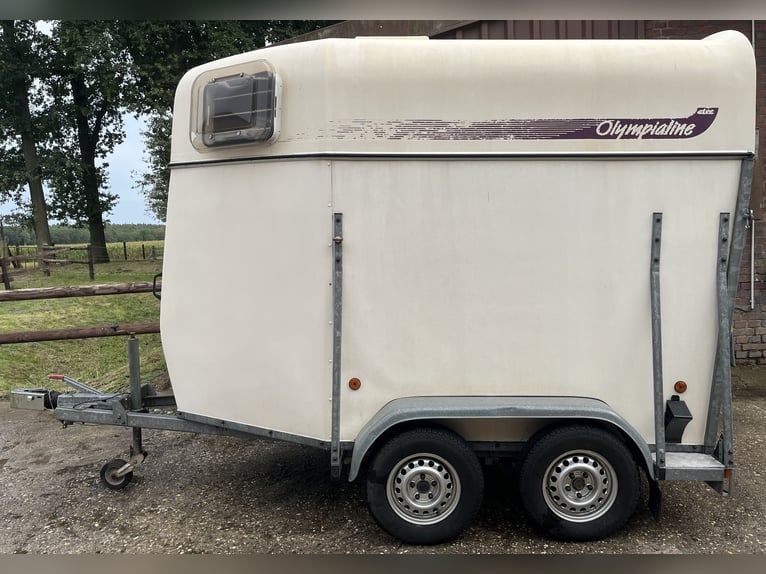 Horse trailer Atec Olympialine, DIY vehicle, TÜV valid until August 2028, partial side panels, poly 