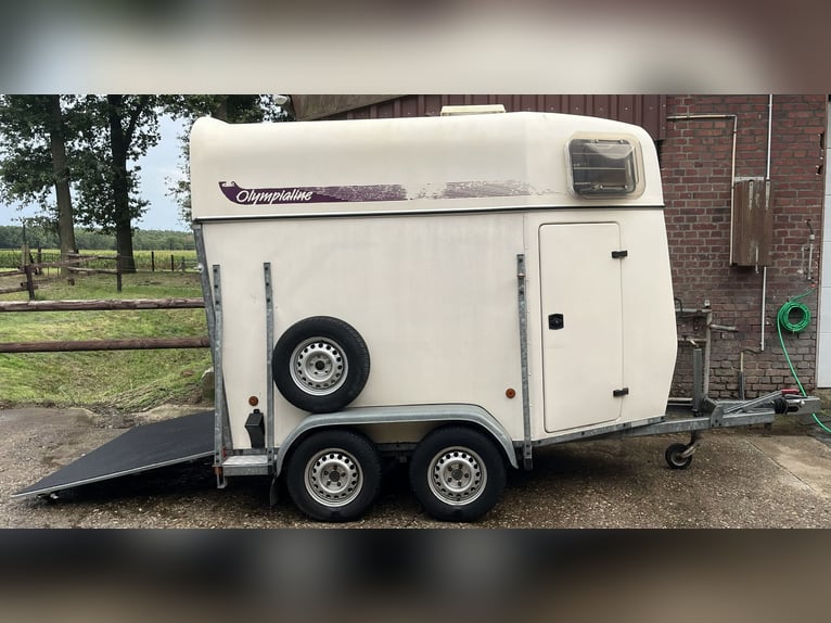 Horse trailer Atec Olympialine, DIY vehicle, TÜV valid until August 2028, partial side panels, poly 