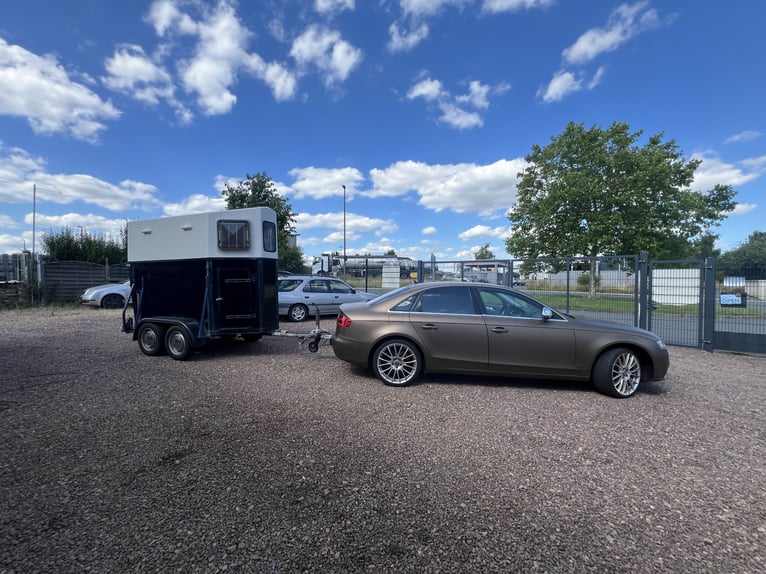 Horse trailer available for rent, drivable with a category B driving license!