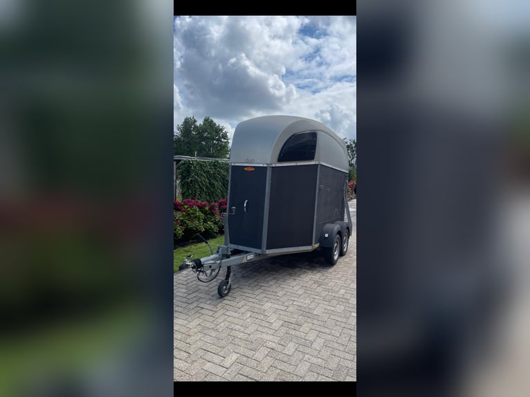 Pferdeanhänger zum direkt los fahren 