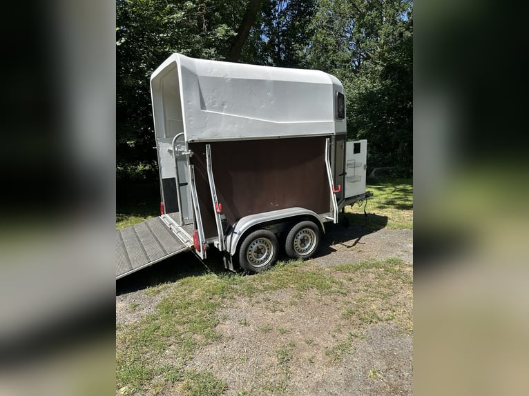 Siemsglüss horse trailer for 2 horses – approved for 100 km/h – extensively renovated