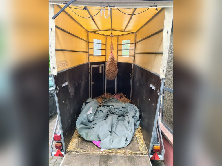 Single-axle horse trailer