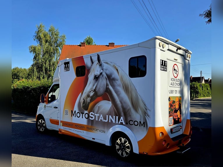 Carriage for 2 horses – Excellent condition