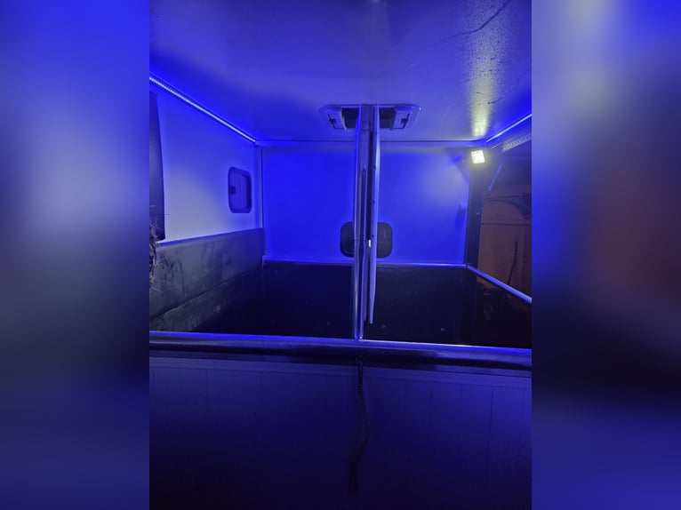 Carriage for 2 horses – Excellent condition