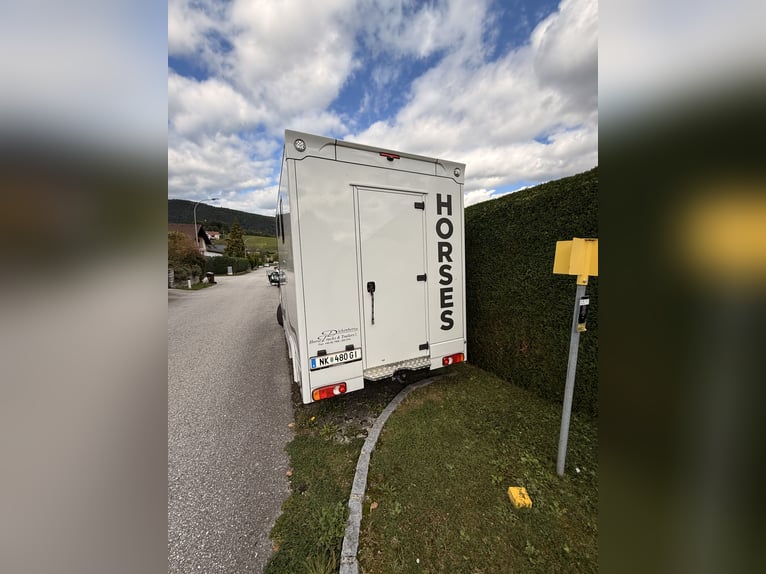 Citroën Jumper Pferdetransporter | nur 4.000 km | BJ 10/2021 | keine NOVA | 3,5 t | 120 kW | Euro 6! Citroën Jumper Pferdetransporter | nur 4.000 km | BJ 10/2021 | keine NOVA | 3,5 t | 120 kW | Euro 6!