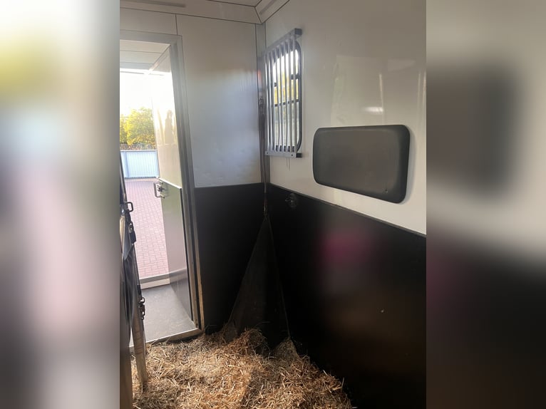 Comfortable Renault Master