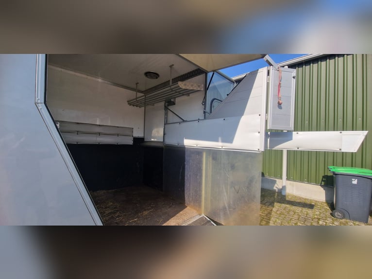 Horse carriage for sale