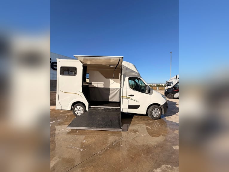 Horse trailer for Renault Master 125 HP, year 2012