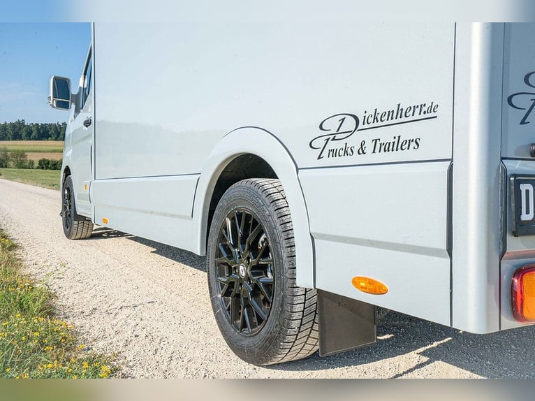Horse Transporter 2 Ride Automatic Renault Master 170 HP Livestock and Animal Transporter
