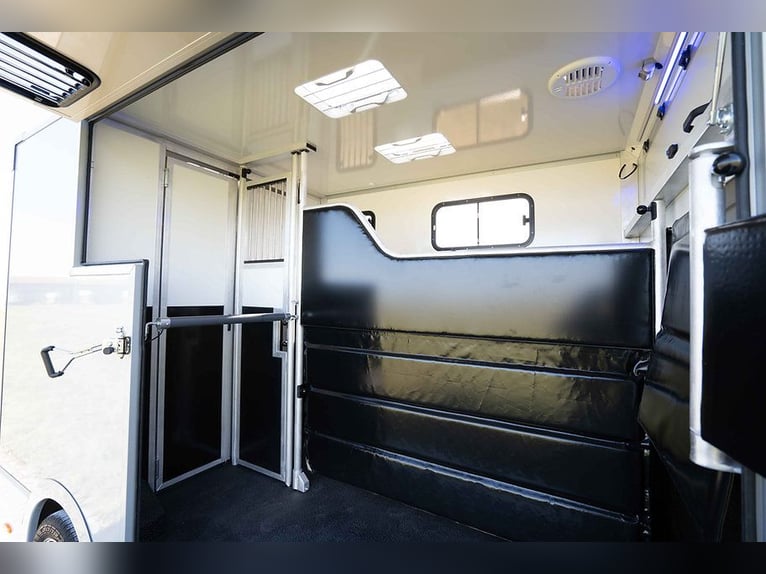 Horse Transporter 2 Ride Automatic Renault Master 170 HP Livestock and Animal Transporter